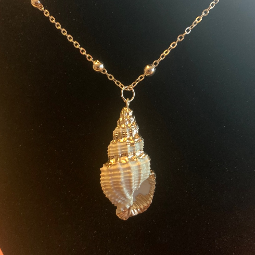 14k Gold Dipped Beach Conch Shell - Picture 3 of 3